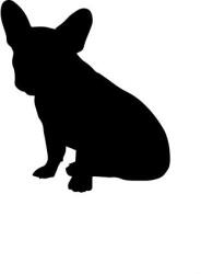  Francia bulldog matrica 14