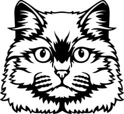  Díszes macska matrica 8