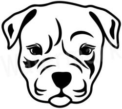 Pitbull kölyök matrica