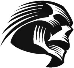  Vonalas koponya matrica