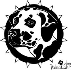  Dalmata matrica 2
