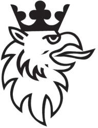  Scania kamion matrica logó