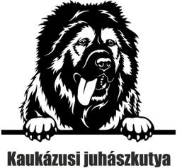  Kaukázusi juhászkutya matrica 3