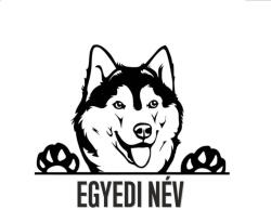  Alaszkai malamut matrica 1 EGYEDI