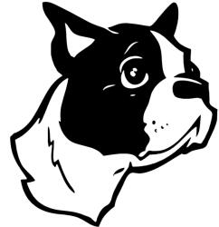  Boston terrier matrica 0