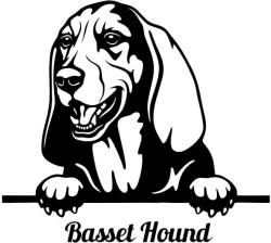  Basset hound matrica 30 cm