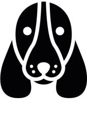  Basset hound matrica 2