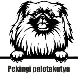  Pekingi palotakutya matrica 2