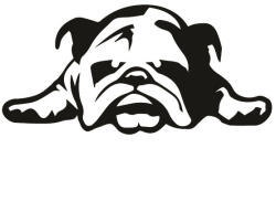  Bulldog matrica 11