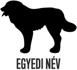  Egyedi neves Kaukázusi matrica