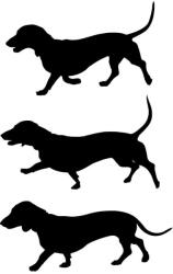  Tacskó matrica szett 2