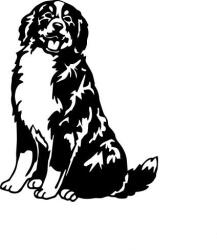  Berni pásztor matrica 0