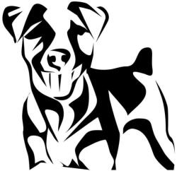  Jack russel matrica 9