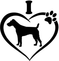  Foxterrier matrica 0