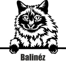  Balinéz macska matrica