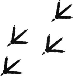  Madár lábnyomok matrica