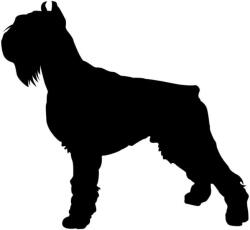  Schnauzer matrica 13