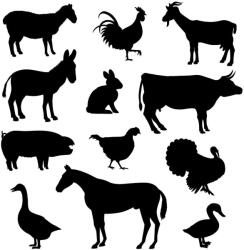  Állatos piktogram matrica szett