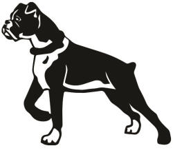  Boxer matrica 6