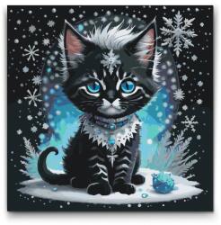  Festés számok szerint - Havas kiscica Méret: 50x50cm, Keretezés: Műanyagtáblával
