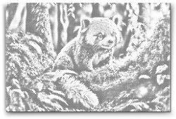  PontPöttyöző - Vörös panda Méret: 40x60cm, Keretezés: Keret nélkül (csak a vászon), Szín: Zöld