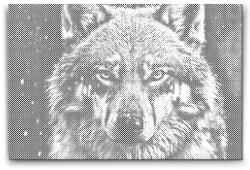 PontPöttyöző - A farkas tekintete Méret: 40x60cm, Keretezés: Keret nélkül (csak a vászon), Szín: Kék