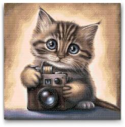  Gyémántszemes kirakó - Kiscica fényképezőgéppel 2 Méret: 50x50cm, Keretezés: Műanyagtáblával, Gyémántok: Négyzet alakú