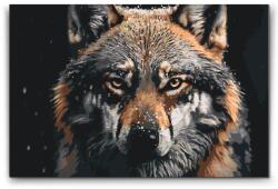  Festés számok szerint - A farkas tekintete Méret: 40x60cm, Keretezés: Kartonlemezen