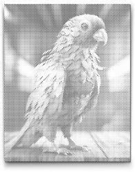  PontPöttyöző - Büszke papagáj Méret: 30x40cm, Keretezés: Kartonlemezen, Szín: Piros