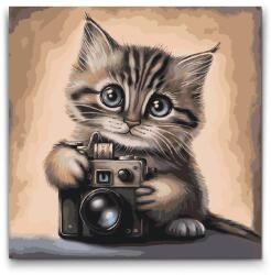  Festés számok szerint - Kiscica fényképezőgéppel 2 Méret: 50x50cm, Keretezés: Műanyagtáblával