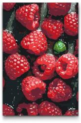  Festés számok szerint - Lédús málna Méret: 40x60cm, Keretezés: Kartonlemezen