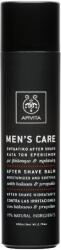 APIVITA Men balm 100 ml