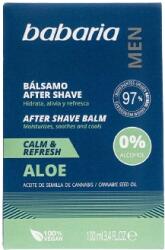 Babaria Men Aloe Vera 100 ml