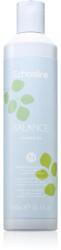 Echosline Balance Shampoo почистващ шампоан против пърхот 300ml