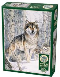 Cobble Hill 1000 db-os puzzle - Second Glance (40143) (40143)