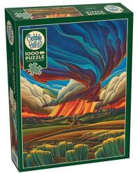 Cobble Hill 1000 db-os puzzle - Amazement (40323) (40323)