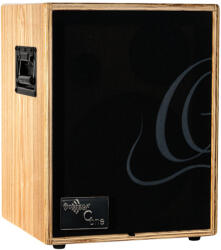 Ortega CONE-ASH Erősítő kombó