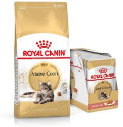 Royal Canin Maine Coon Adult 10 kg + mokra karma Mainecoon 12x85 g dla kotów rasy maine coon