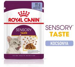 Royal Canin SENSORY TASTE JELLY 24x85g - zselés felnőtt macska nedves táp fokozott íz élménnyel