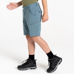 DARE 2B Reprise II Short gyerek technikai short szürke