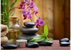 Alipson Puzzle 50001 - Zen - 500 db-os puzzle (50001)