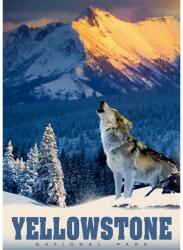 Alipson Puzzle 50008 - Yellowstone Wolf - 500 db-os puzzle (50008)