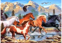 Alipson Puzzle 50171 - Wild and Free - 500 db-os puzzle (50171)