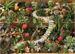 Cobble Hill 40087 - Succulent Garden - 1000 db-os puzzle (40087)