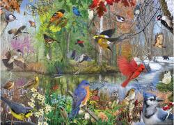 Cobble Hill 40163 - Birds of the Season - 1000 db-os puzzle (40163)