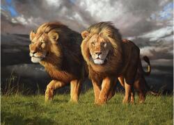 Cobble Hill 40288 - Approaching Storm - 1000 db-os puzzle (40288)