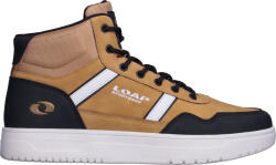LOAP Sfax (csm25199-c50v)