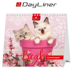DAYLINER Naptár, asztali, álló, DAYLINER Cicák (DL7AS-CIFAL-HH) - kellekanyagonline