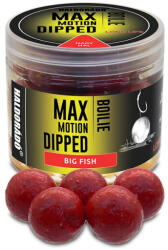 Haldorádó Max Motion Dipped Boilie, 20 mm, nagy hal, 100 g (HD28892)