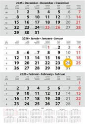 Dayliner Naptár, speditőr, három hónapos, egy tömbös, üres fejrész, DAYLINER (DL6SP-1H3-FU-10) - iroszer24